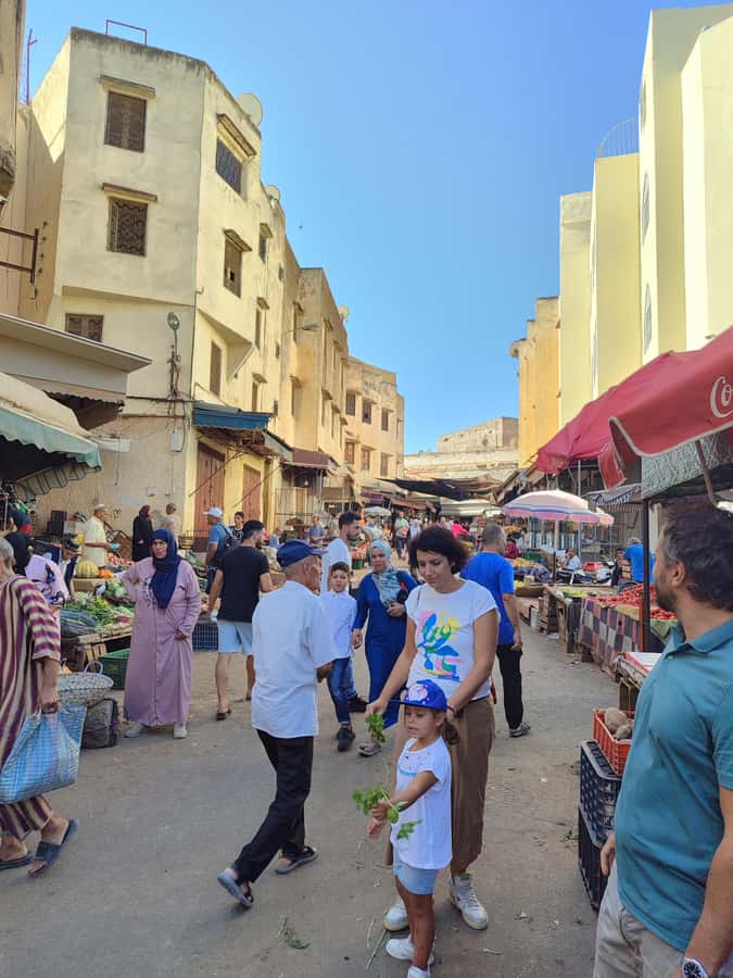Half day guided tour in Fes Medina - Bab Boujloud: the color punch that starts your bearings
