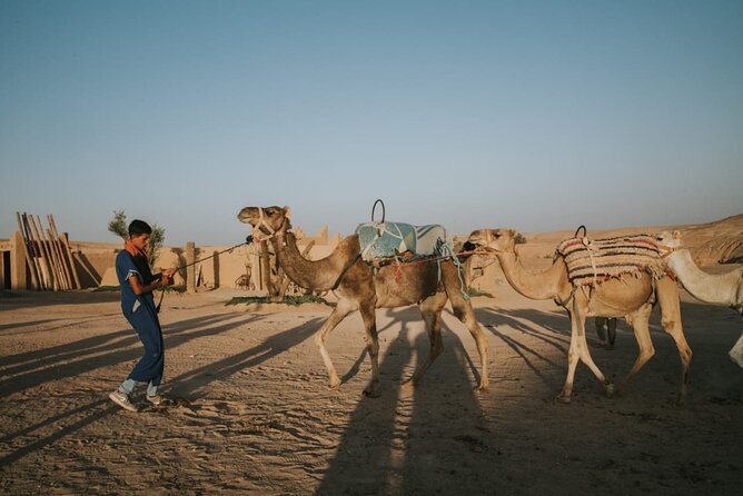 Half day in Agafay desert with Camel ride, Quad biking and dinner nomad tent - What’s included vs. what costs extra
