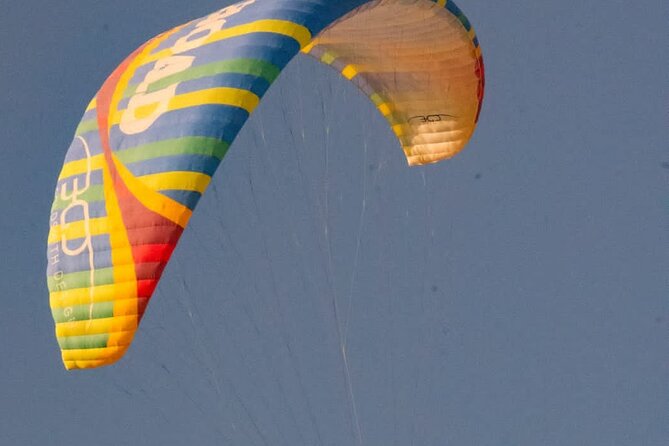 Half-Day Paragliding in Marrakech and Atlas Mountains - Price and value: is $113.82 a fair deal for Marrakech paragliding?