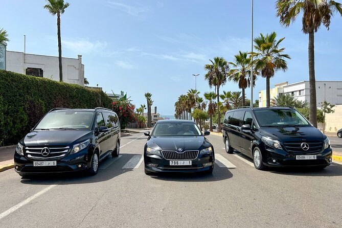 Half Day Private Casablanca City Tour - Mohammed V Square and Marche Central: where you watch the city work