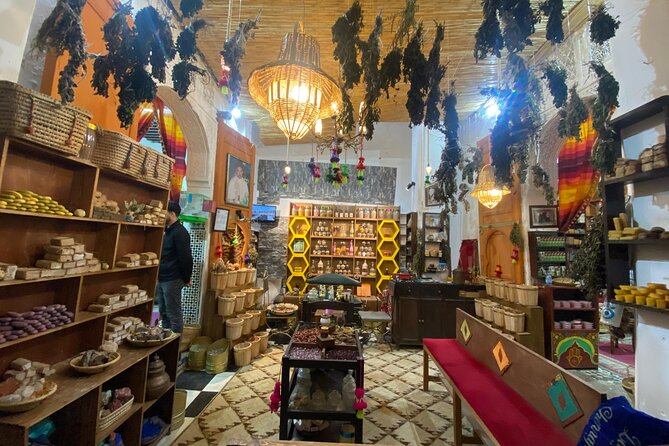 Half-Day Private Guided Walking Tour of the Old Medina of Fez - Bab Boujloud and Museo Nejjarine: a smart start