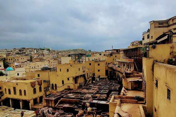 Half-Day Private Walking Tour of the Authentic City of Fez - Price and value: what $29.04 covers, and what it doesn’t