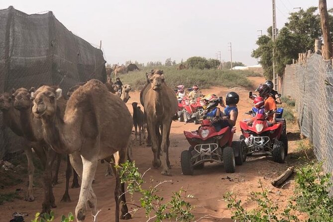 Half Day Quad in Agadir - Entering Agadir’s quad lanes: what this ride is actually like