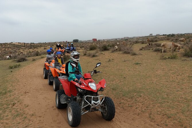 Half-day QUAD In Agadir + pick-up included from Agadir - TAKKAD and the longer sand stretches: greenhouses, fields, and dunes that may be smaller than you imagine