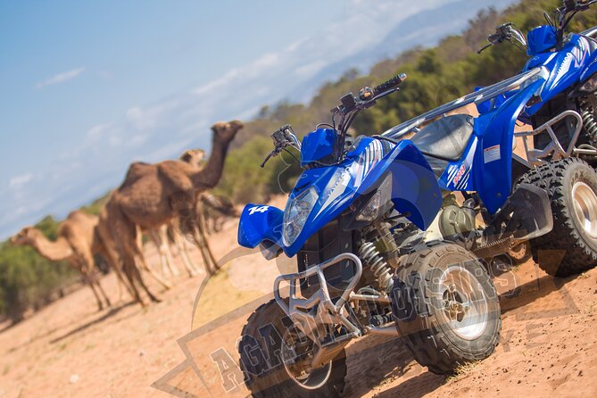 Half-day QUAD In Agadir + pick-up included from Agadir - The most praised parts: service, friendliness, and first-timer confidence