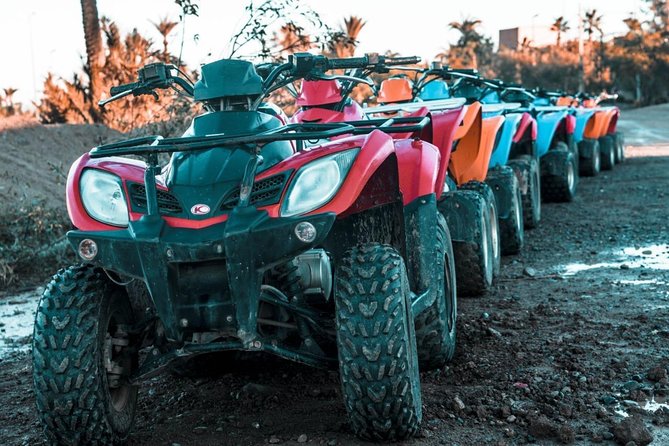 Half day Quad Palmeraie: The Best Quad rides - Quad bikes in Marrakech’s Palmeraie: what the ride is really about