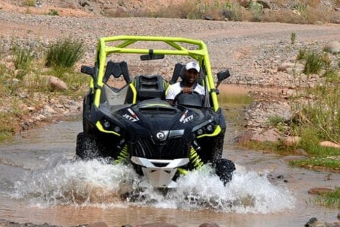 Half day Quad Palmeraie: The Best Quad rides - On the quad: sands, speed, and a mint-tea pause