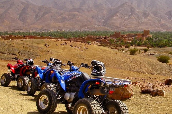 Half day Quad ride - Quad vs buggy: choosing the right ride for your comfort
