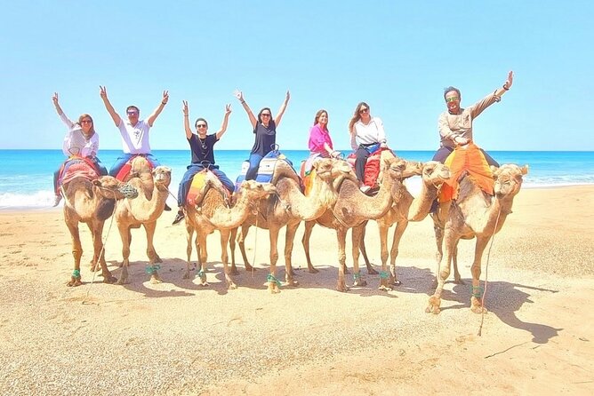 Half-Day Tangier Private Tour & Camel Ride & Colorful Markets - Price and value: what’s included, what costs extra