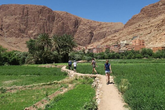 Half-Day Todra Gorges Hike - Reaching Toward the Canyon Walls (and Why the Red Rock Hits Hard)