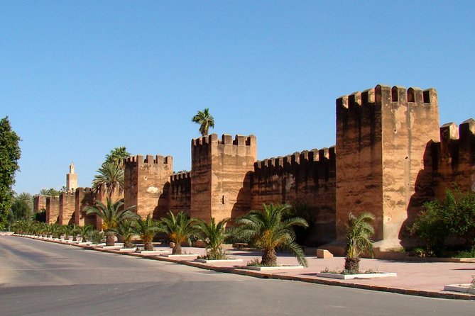 Half day tour : Agadir Goats in argan trees & Souk El Had Market - What to double-check: pickup spots and day-of pacing