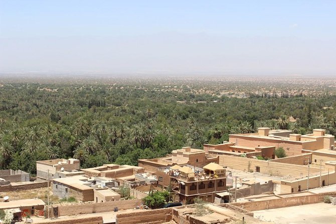 Half day tour : Agadir Goats in argan trees & Souk El Had Market - Souk El Had d’Agadir plus goats in argan trees: two hits in one stretch