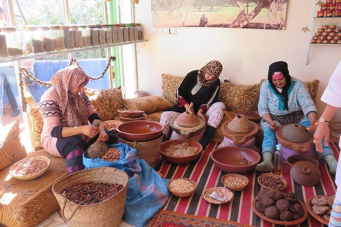Half Day Tour From Marrakech to the Atlas Mountains & Ourika Valley - Who this tour suits best (and who should skip it)