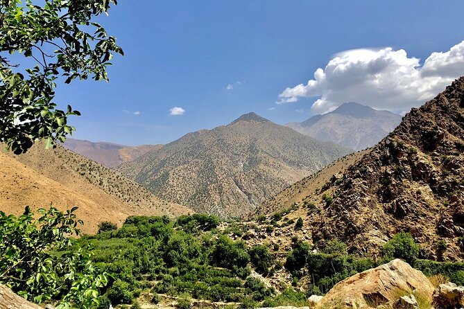 Half Day Tour From Marrakech to the Atlas Mountains & Ourika Valley - Ourika Valley: riverside tea, Berber breakfast, and time to slow down