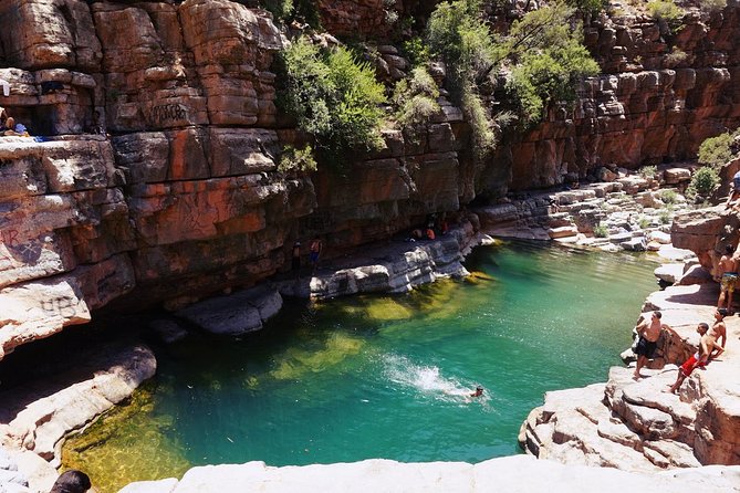 Half-Day Tour to Paradise Valley from Agadir - The Guide and Driver Factor: why Mr. Rashid makes a difference