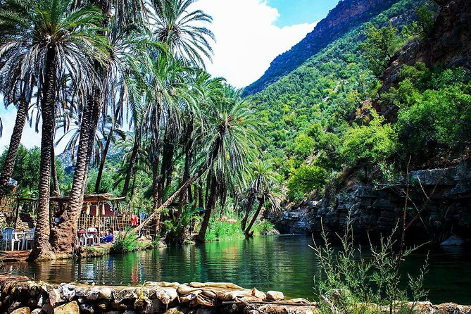 Half-Day Tour to Paradise Valley from Agadir - Who should book this Paradise Valley half-day tour?