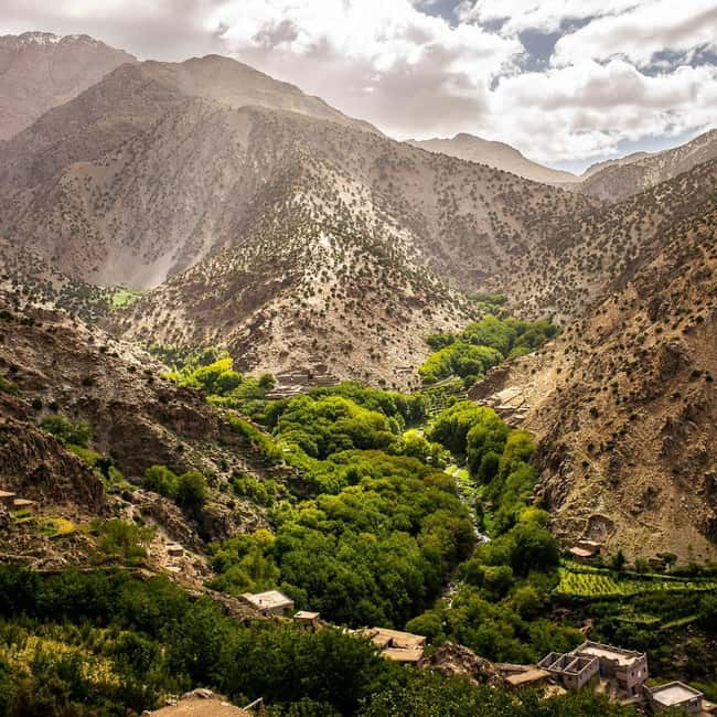 Half day Zipline out of marrakech city with breakfast - Berber culture in the real rhythm: bread, oil, and tea