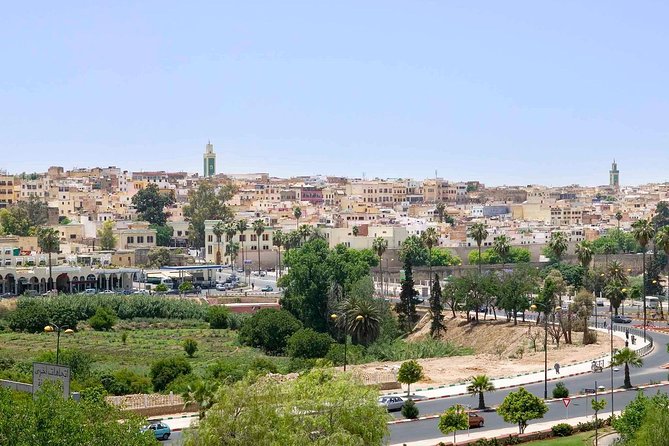 happy day trip of Volubilis and Meknes from Fez - Transportation that actually works: punctual, flexible, and easy with families