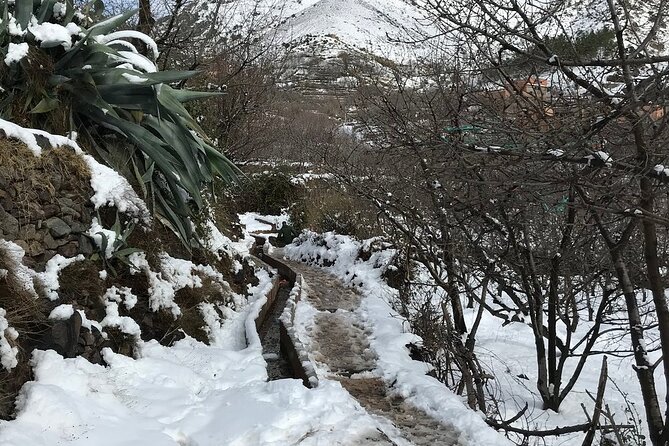 High Atlas Mountains Day Trip and Camel Trek - High Atlas Mountains Day Trip: what you’re really paying for