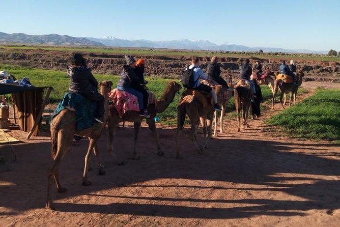 High Atlas Mountains Day Trip and Camel Trek - Camel trek time: when it happens and how to enjoy it