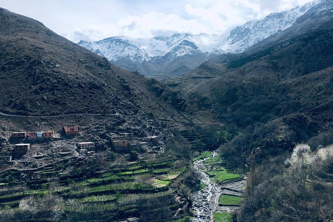 High Atlas Mountains Day Trip and Camel Trek - Group size, comfort, and pacing in the van and on the trail