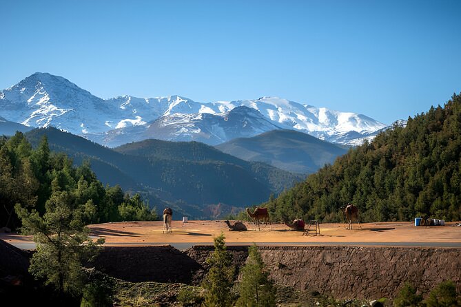 High Atlas Mountains Day Visit " Ourika Valley & Setti Fatma" - Key Highlights You’ll Actually Care About