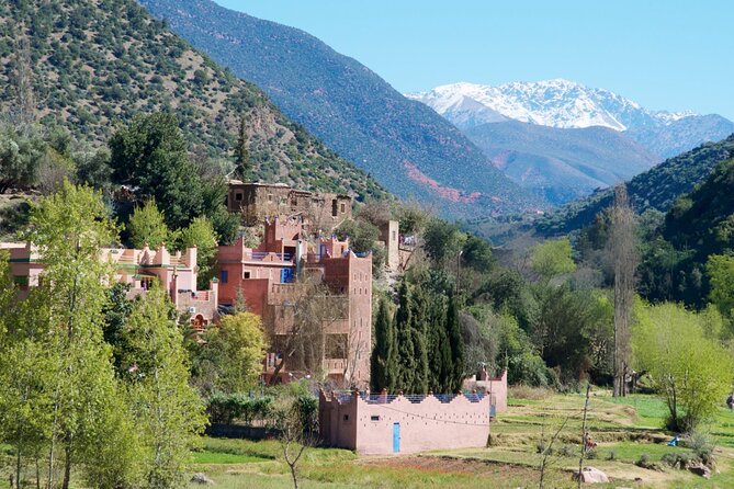 High Atlas Mountains Day Visit " Ourika Valley & Setti Fatma" - Women’s Argan Cooperative: Practical Lessons, Not Just Souvenirs