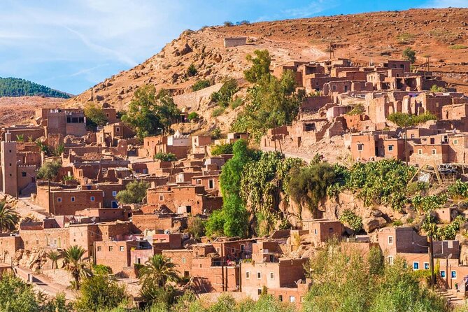 High Atlas Mountains Ziplining Adventure - Women’s Argan Cooperative Breakfast: Why This Stop Matters