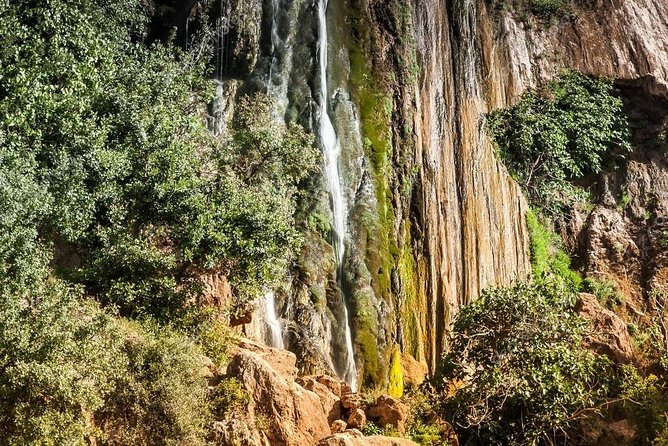 High Atlas Tour & Paradise Valley - Paradise Valley Agadir: Oleander Streams and Winter Almond Bloom