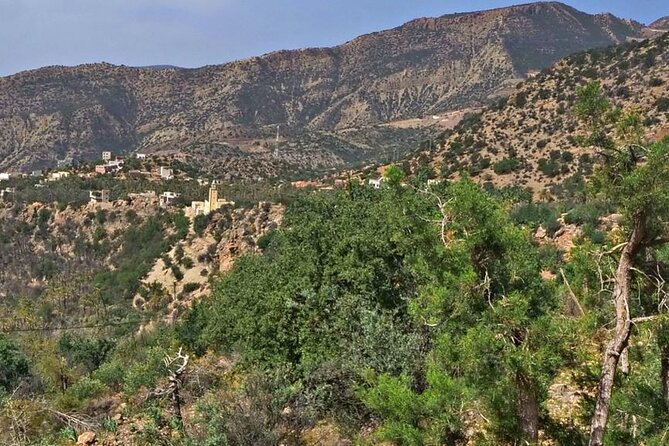 High Atlas Tour & Paradise Valley - Timing and Terrain: Moderate Fitness and a Walk-Friendly Day