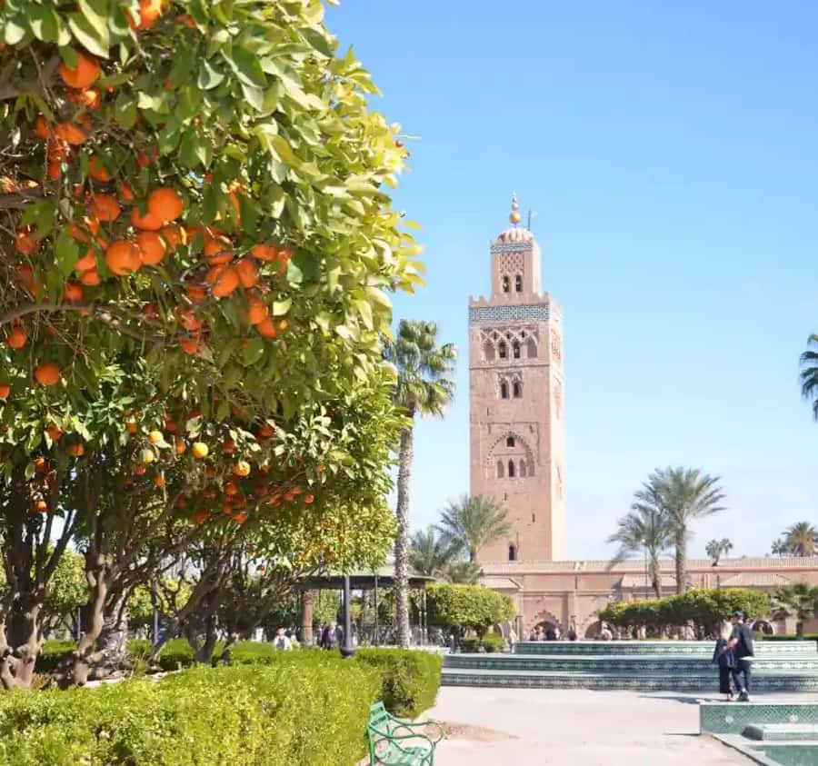 Highlights & Hidden Gems of Marrakech - Souks: spices, textiles, and an organ oil store worth asking about