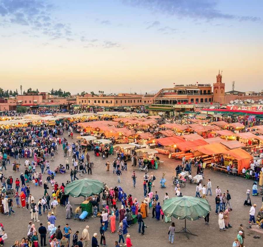 Highlights & Hidden Gems of Marrakech - Pickup, meeting points, and the one timing problem to plan around