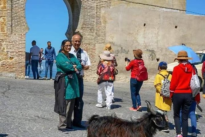 Highlights of Tangier Half Day Tour Include Lunch - Museums That Add Context: Kasbah Museum and the American Legation