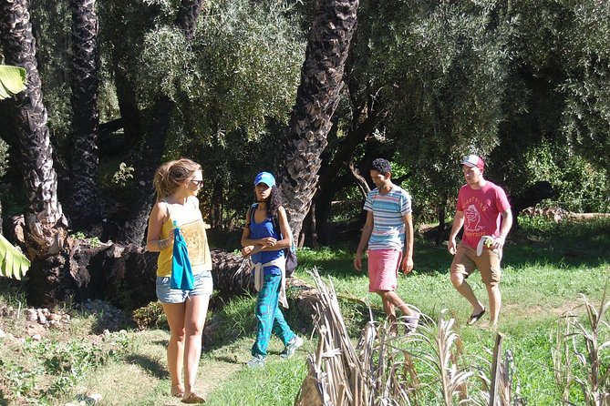 Hiking Beyond Paradise Valley - Banana village: Berber customs, history, and lunch