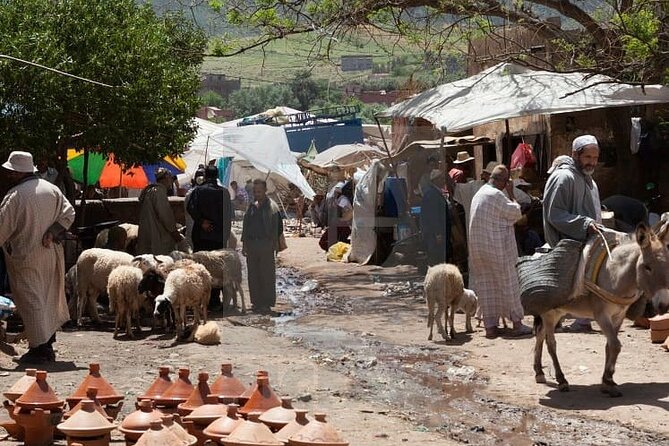 Hiking Day Tour in Atlas Mountains & Waterfalls' - The Berber village visit: real daily life, guided with context