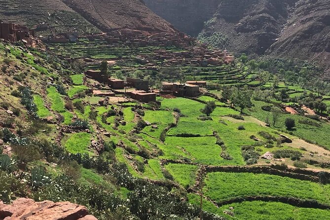 Hiking Day Tour in Atlas Mountains & Waterfalls' - Lunch at a local home: how the 8 EUR add-on works