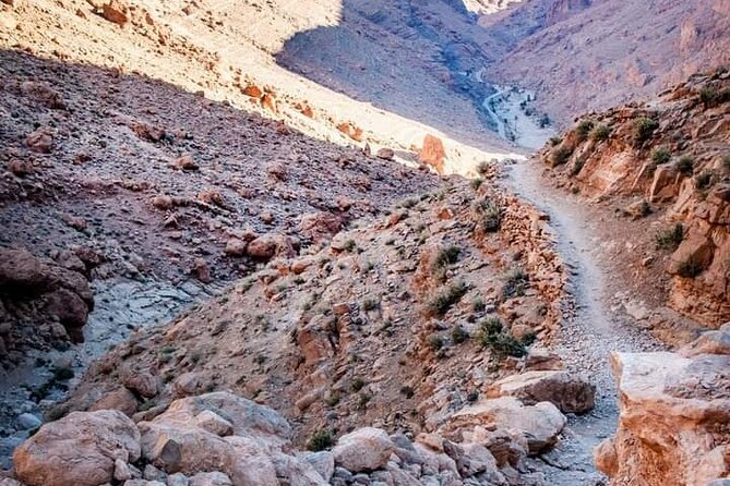Hiking trips in Todgha Gorge with Your Local Experts,Abdull & Ali - Pace, terrain, and what to bring for a 3–4 hour hike