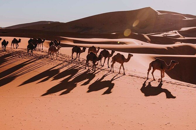 Hire a car with driver and licensed guide - Day 1: Casablanca to Rabat, starting with big-name Morocco