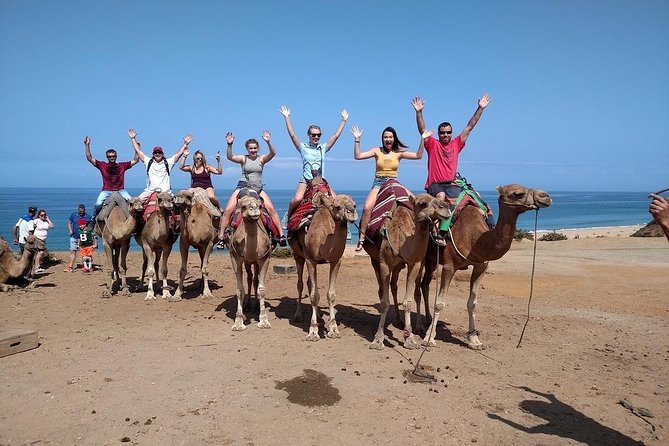 Historical and Cultural Tour of Tangier - Price: what you’re really paying for at about $104.53