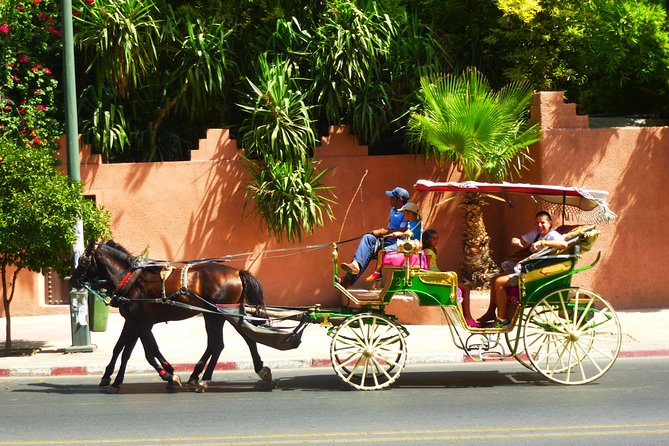 Horse and Carriage Ride with Majorelle Garden - Guides, Comfort, and Small Details That Matter