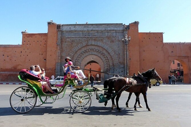 Horse and Carriage Ride with Majorelle Garden - Agdal and Menara: Two More Garden Stops, One Time Reality