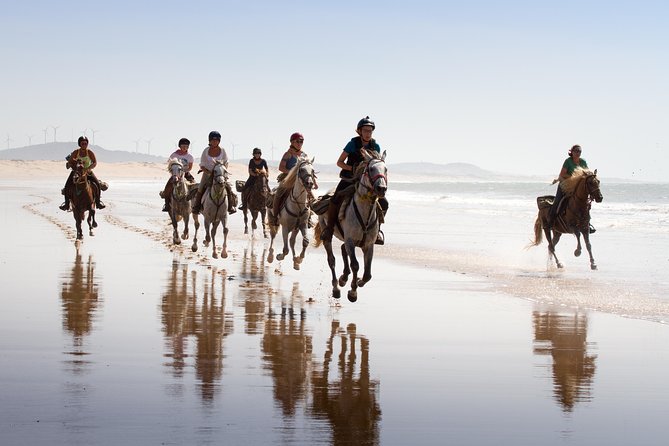 Horse Ride on the Beach in Essaouira - Horseback Across Essaouira’s Atlantic Shoreline: The Core Experience