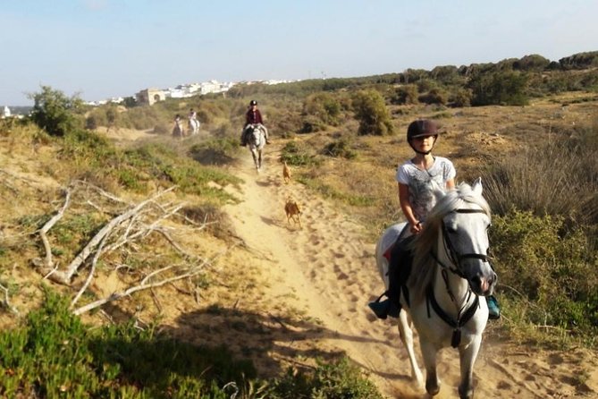 Horse Ride on the Beach in Essaouira - Private Ride Means More Attention on Sandy Terrain