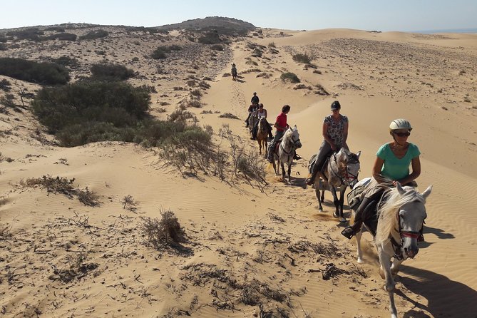 Horse Ride on the Beach in Essaouira - How Riding Levels Affect What You Actually Do