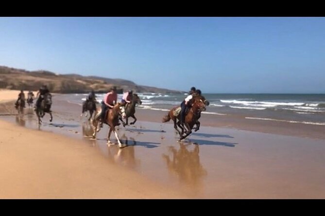 Horse Riding Agadir - Horses matched to you: beginners and experienced riders both fit