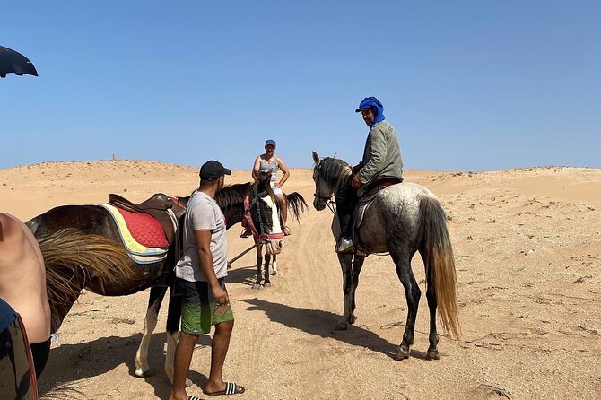 Horse Riding Agadir - Wildlife spotting: what you can realistically aim to see