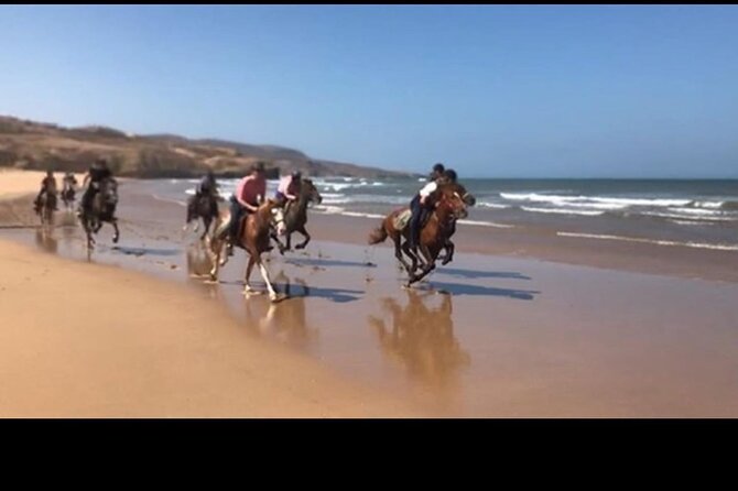 Horse Riding Agadir - Staff and service: Denise, guides, and that extra care