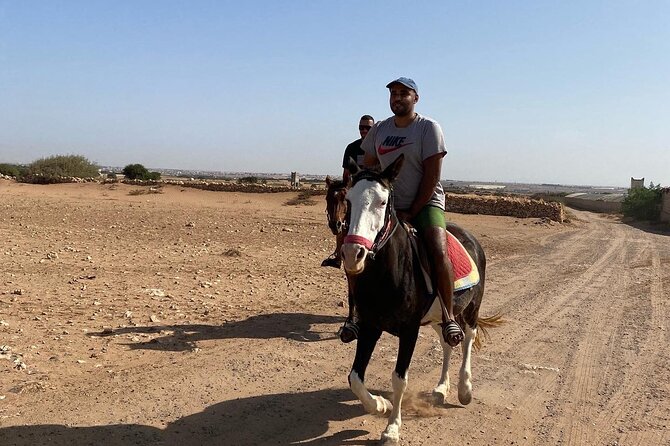 Horse Riding Agadir - Price and value at about $34.88 per person