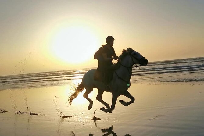 Horse riding on the beach of Essaouira 2 hours - Key things that make this ride worth your time