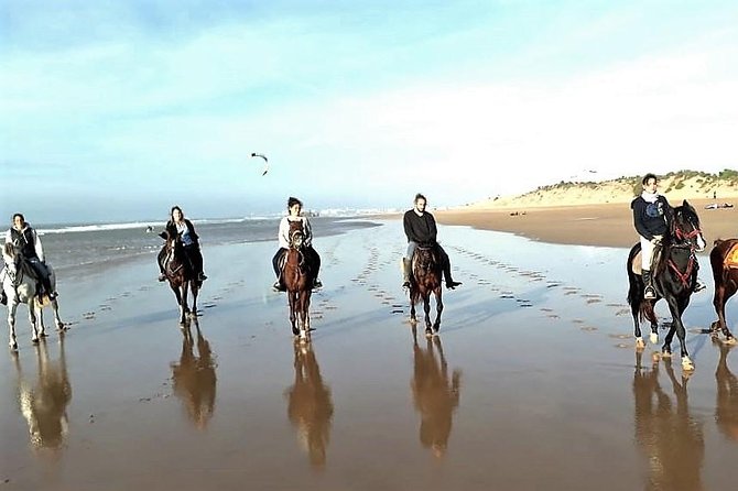 Horse riding on the beach of Essaouira 3 hours - Key highlights before you book